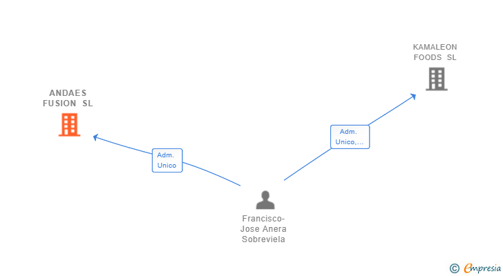 Vinculaciones societarias de ANDAES FUSION SL