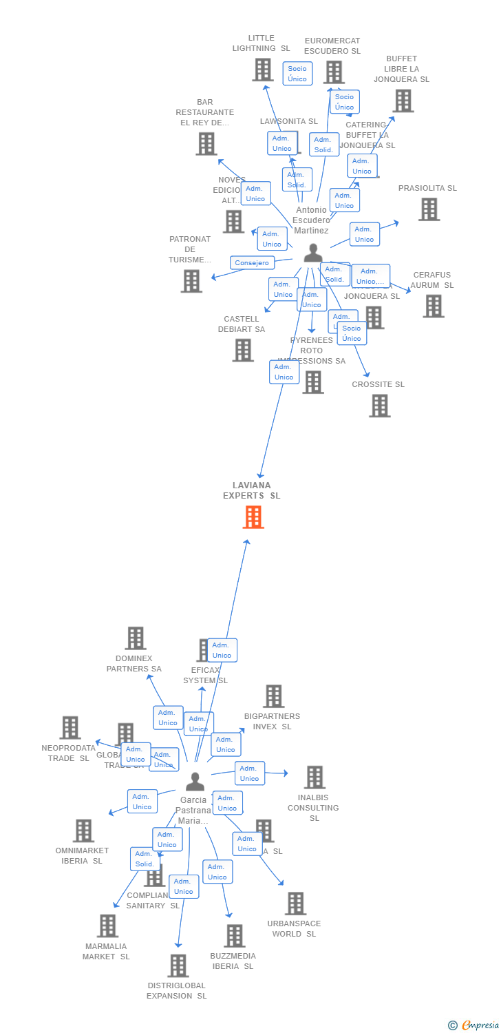 Vinculaciones societarias de LAVIANA EXPERTS SL