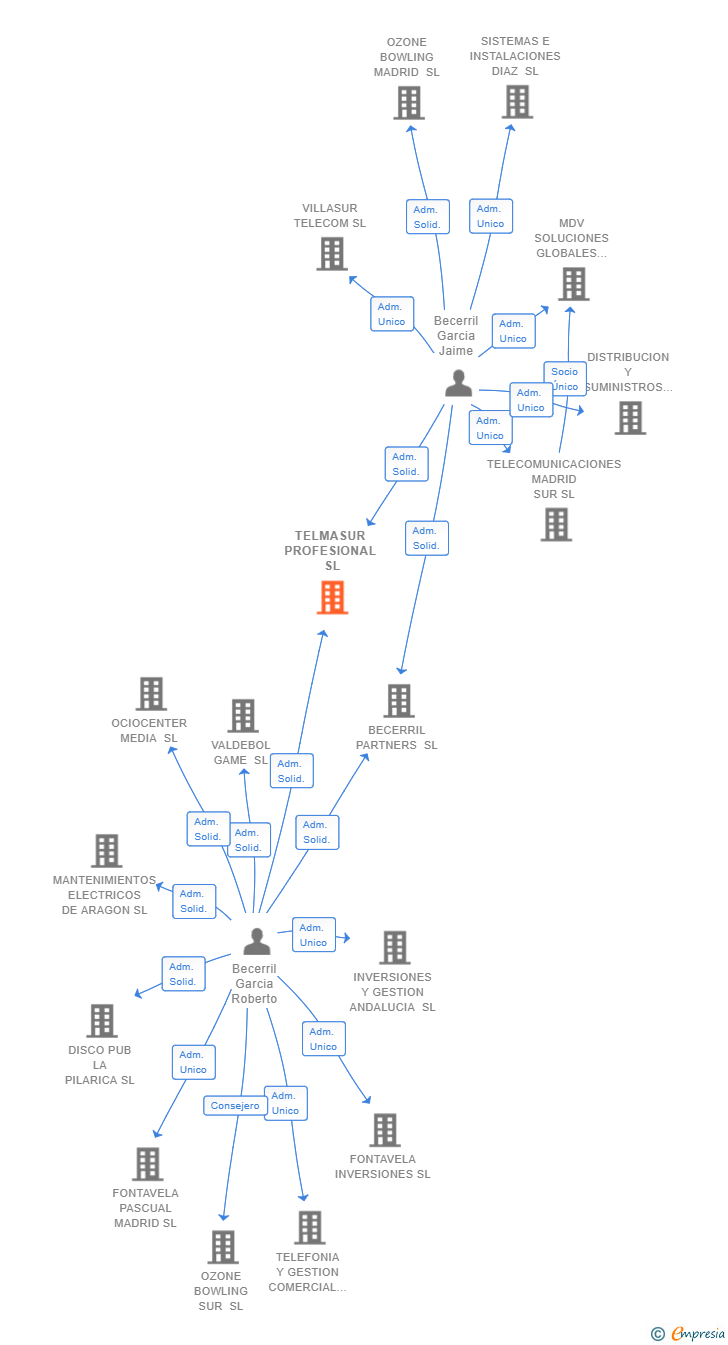 Vinculaciones societarias de TELMASUR PROFESIONAL SL