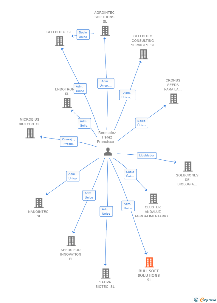 Vinculaciones societarias de BULLSOFT SOLUTIONS SL