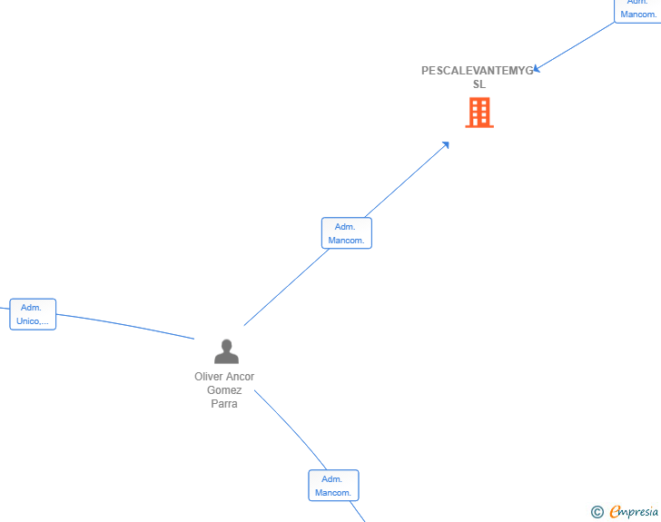 Vinculaciones societarias de PESCALEVANTEMYG SL