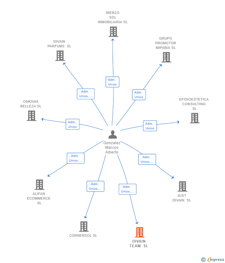 Vinculaciones societarias de DIVAIN TEAM SL