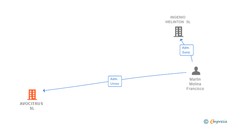 Vinculaciones societarias de AVOCITRUS SL
