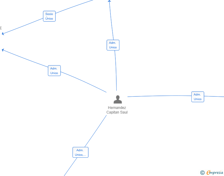 Vinculaciones societarias de CHECKLICENCE SL