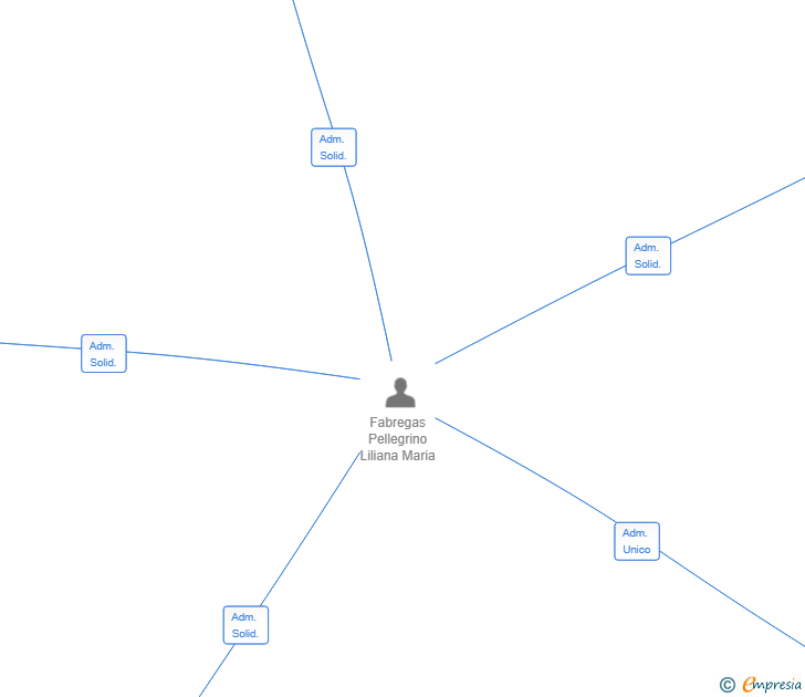 Vinculaciones societarias de VENTURE OF LILI HOLDING SL