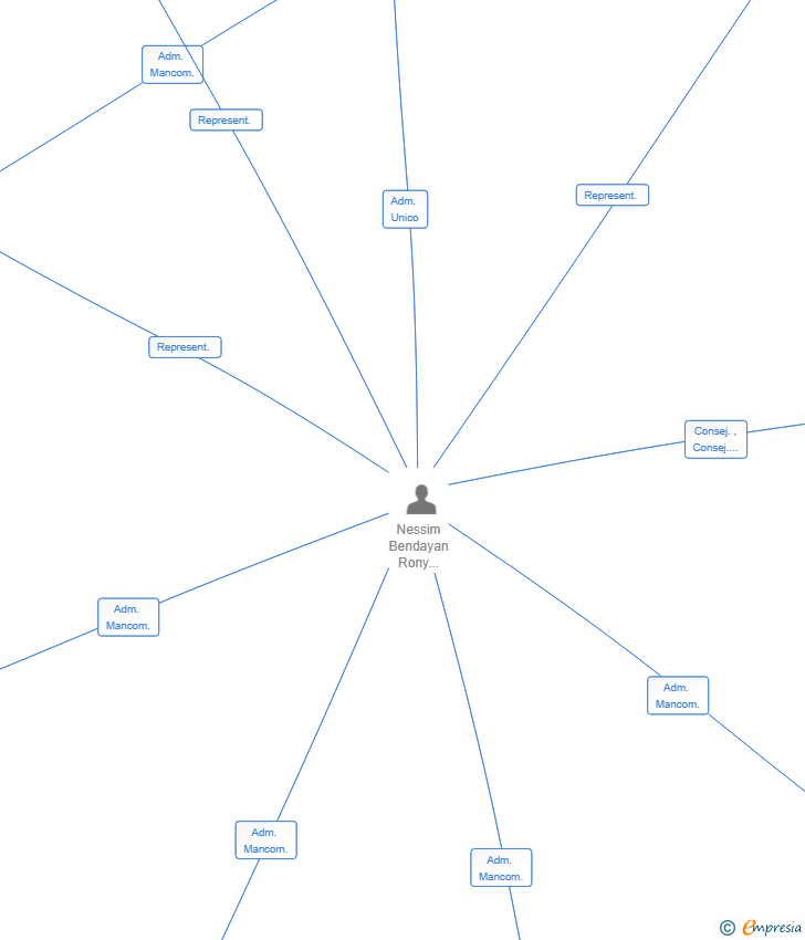 Vinculaciones societarias de BWISE MY FRIEND SL