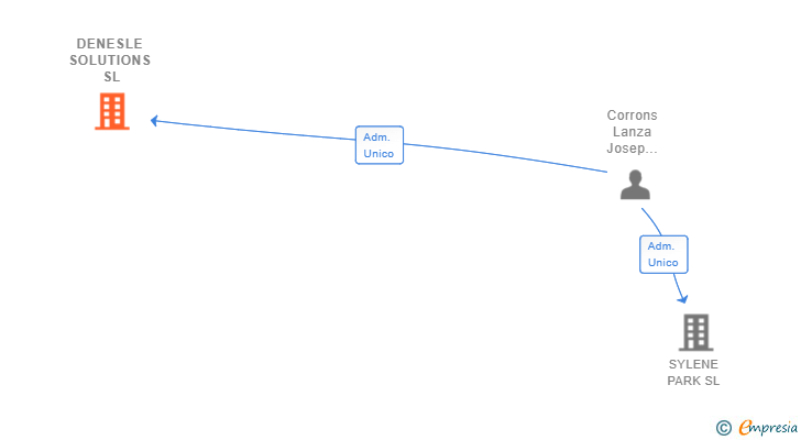 Vinculaciones societarias de DENESLE SOLUTIONS SL