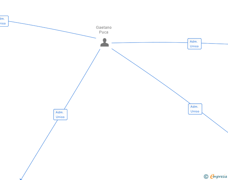 Vinculaciones societarias de DATAKING GLOBAL SL