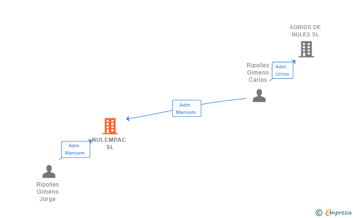 Vinculaciones societarias de NULEMPAC SL