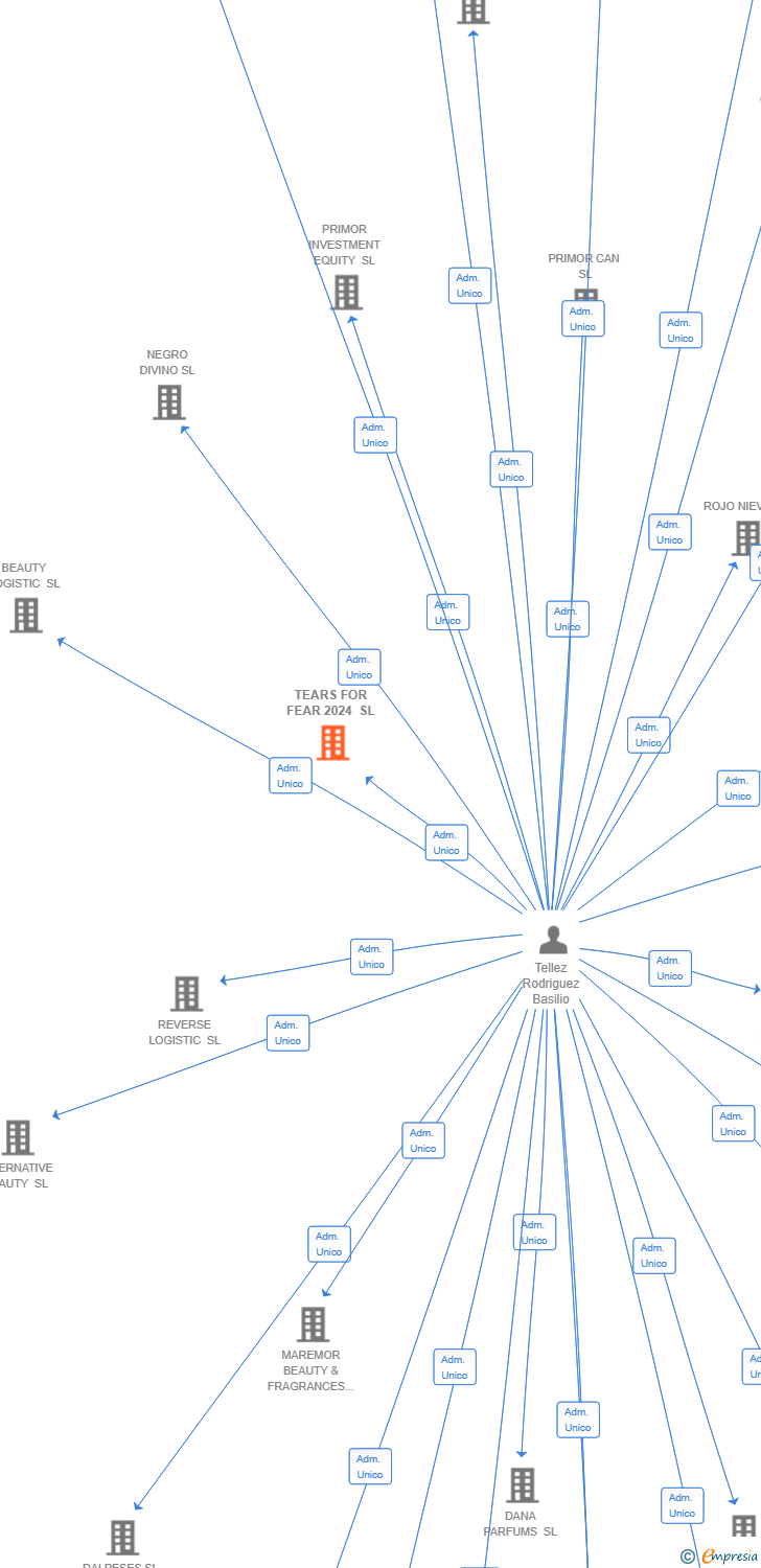 Vinculaciones societarias de TEARS FOR FEAR 2024 SL