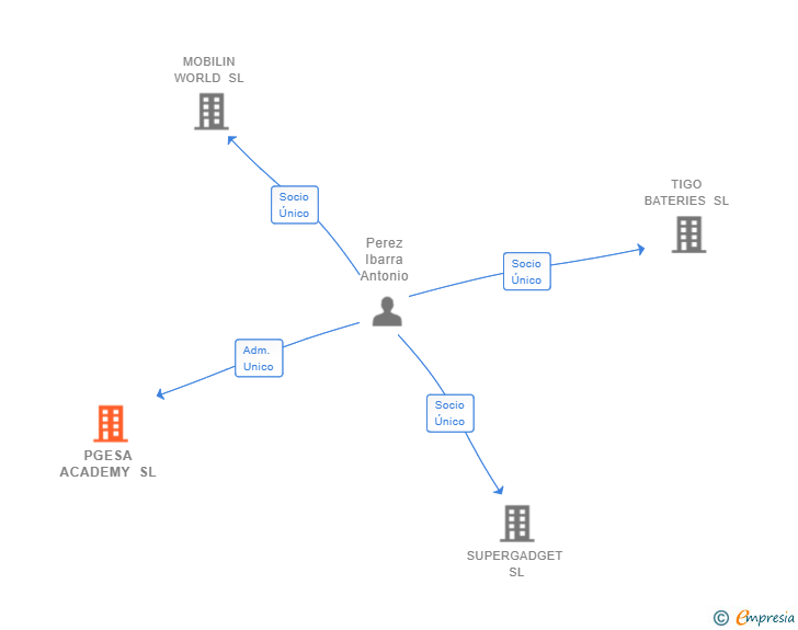 Vinculaciones societarias de PGESA ACADEMY SL