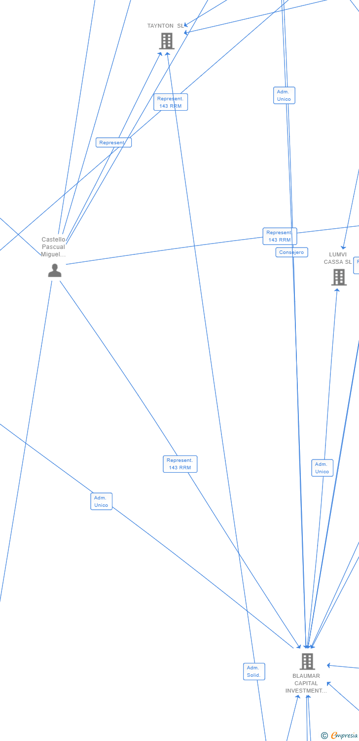 Vinculaciones societarias de DIVERSE SERVICE & DISTRIBUTION SL