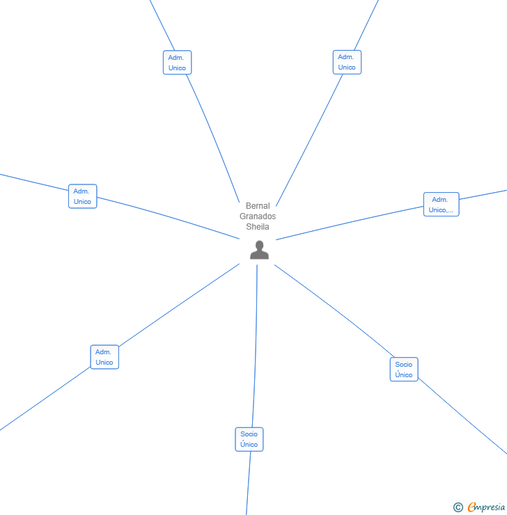 Vinculaciones societarias de SHENA TALENT STUDIO SL