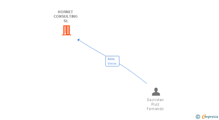 Vinculaciones societarias de HORNET CONSULTING SL