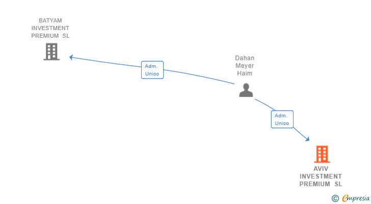 Vinculaciones societarias de AVIV INVESTMENT PREMIUM SL