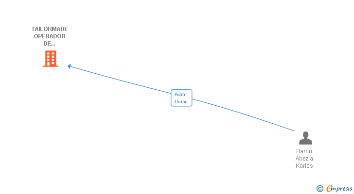 Vinculaciones societarias de TAILORMADE OPERADOR DE TRANSPORTES SL