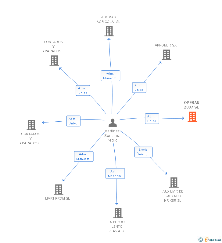 Vinculaciones societarias de OPESAN 2007 SL