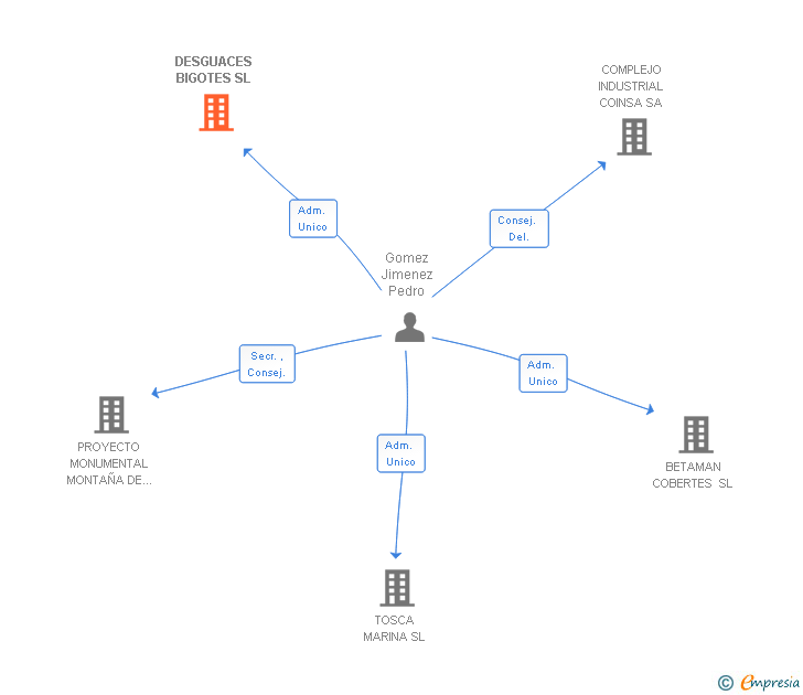 Vinculaciones societarias de DESGUACES BIGOTES SL