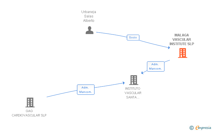 Vinculaciones societarias de MALAGA VASCULAR INSTITUTE SLP