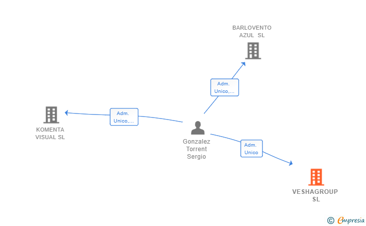 Vinculaciones societarias de VESHAGROUP SL