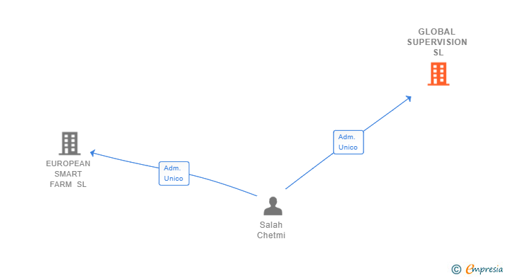 Vinculaciones societarias de GLOBAL SUPERVISION SL