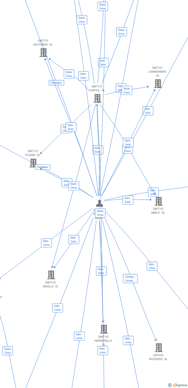 Vinculaciones societarias de BLUE DIAMOND GLOBAL INTELLIGENCE SL