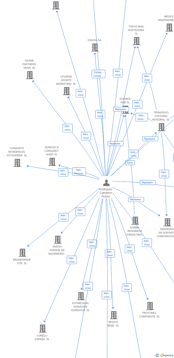 Vinculaciones societarias de VIREON CONSULTING SL