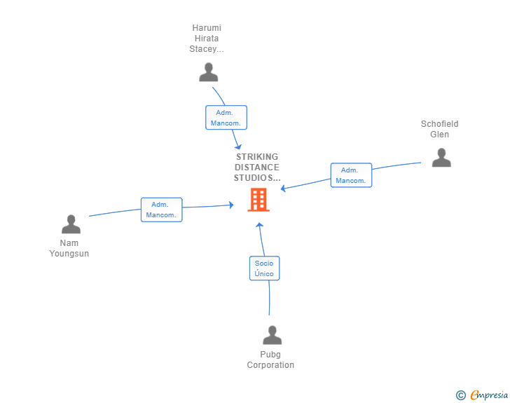 Vinculaciones societarias de STRIKING DISTANCE STUDIOS SPAIN SL