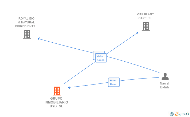 Vinculaciones societarias de GRUPO INMOBILIARIO BSB SL