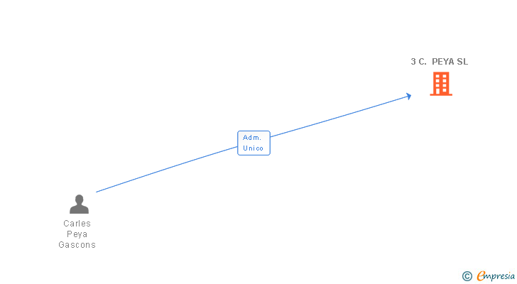 Vinculaciones societarias de 3 C. PEYA SL