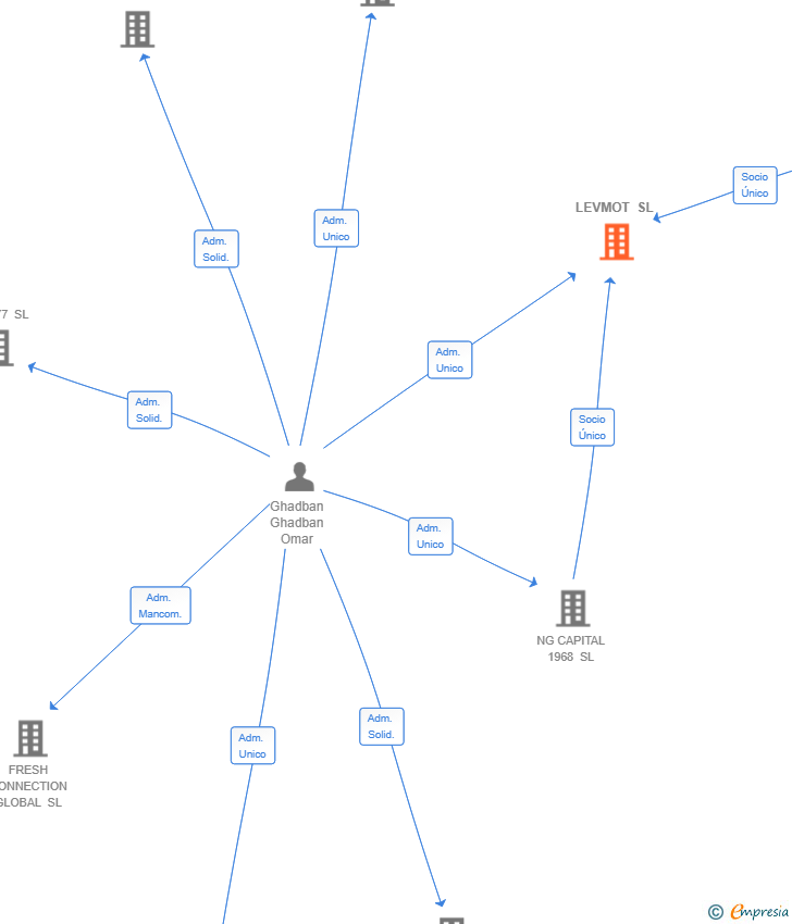 Vinculaciones societarias de LEVMOT SL