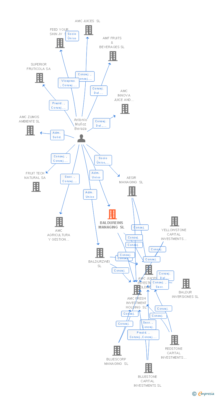 Vinculaciones societarias de BALDUREINS MANAGING SL