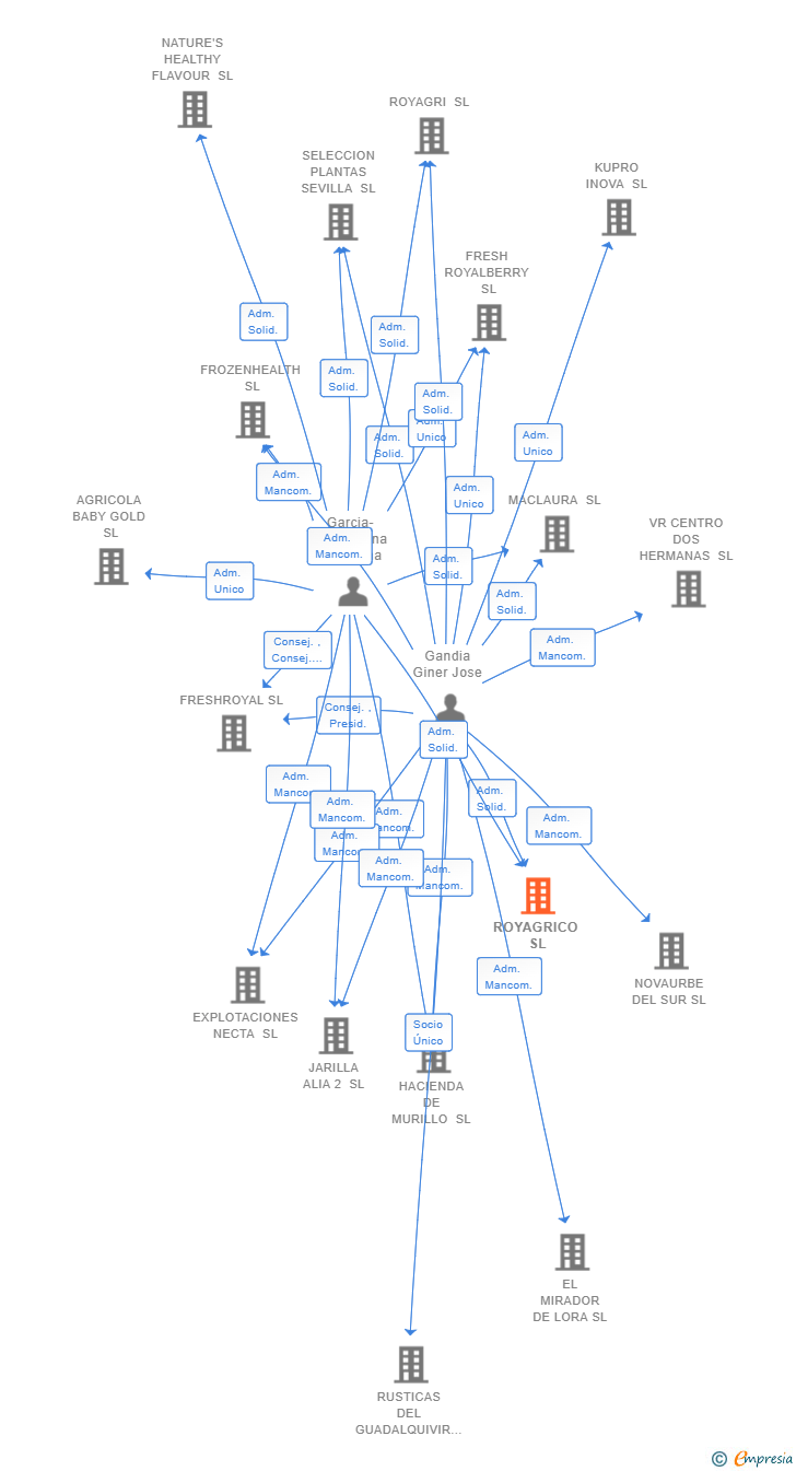 Vinculaciones societarias de ROYAGRICO SL