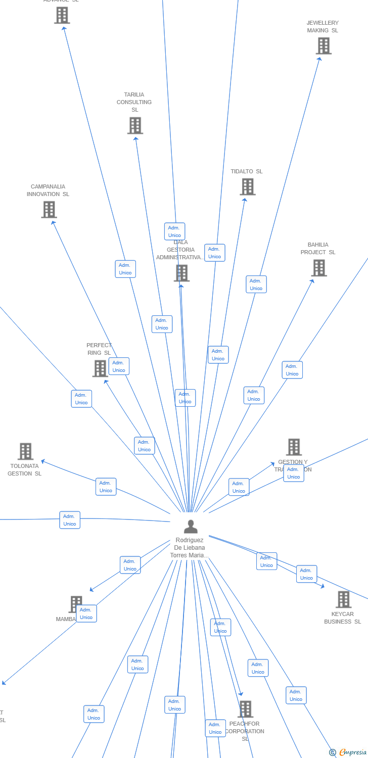 Vinculaciones societarias de NINIVIAL SL