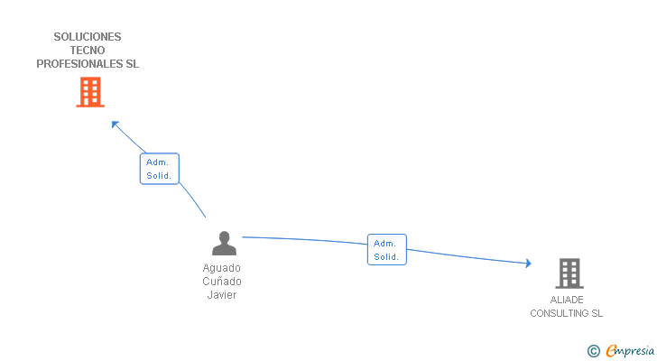 Vinculaciones societarias de SOLUCIONES TECNO PROFESIONALES SL