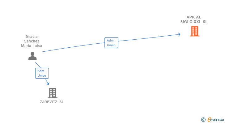 Vinculaciones societarias de APICAL SIGLO XXI SL