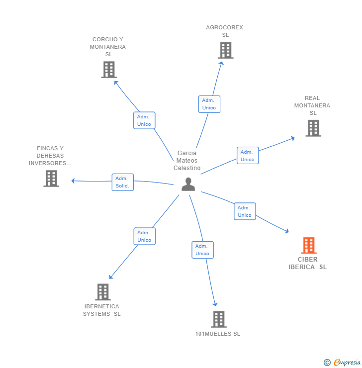 Vinculaciones societarias de CIBER IBERICA SL