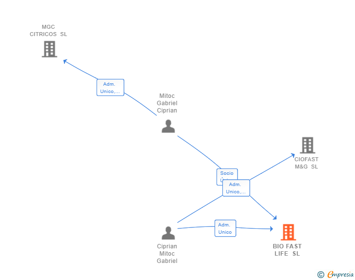 Vinculaciones societarias de BIO FAST LIFE SL