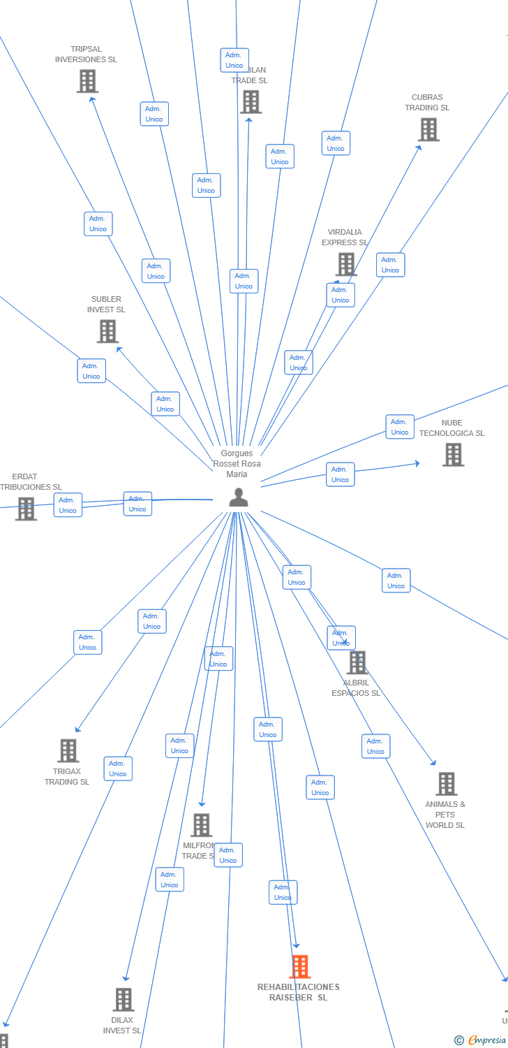 Vinculaciones societarias de REHABILITACIONES RAISEBER SL
