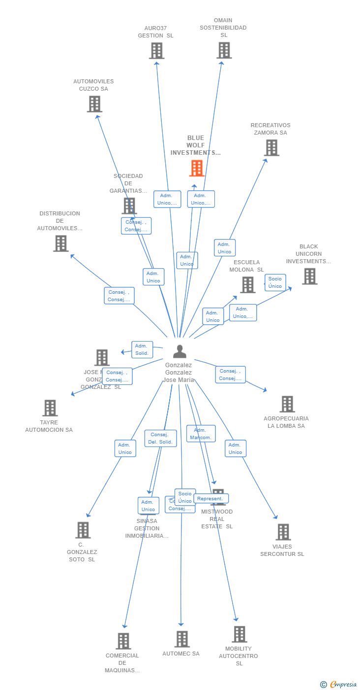Vinculaciones societarias de BLUE WOLF INVESTMENTS SL