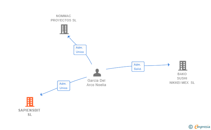 Vinculaciones societarias de SAPIENSBIT SL
