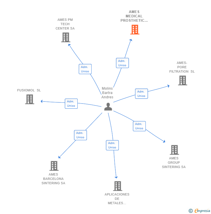 Vinculaciones societarias de AMES MEDICAL PROSTHETIC SOLUTIONS SA
