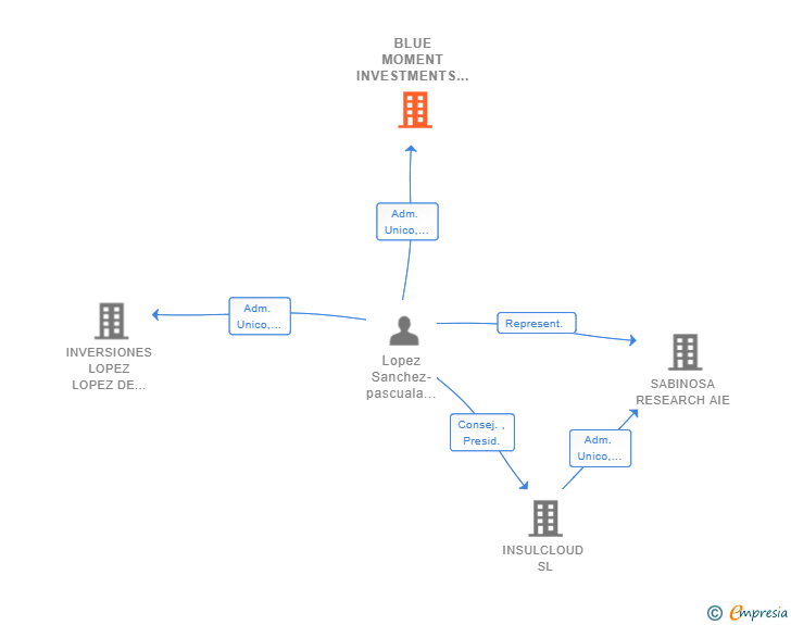 Vinculaciones societarias de BLUE MOMENT INVESTMENTS SL