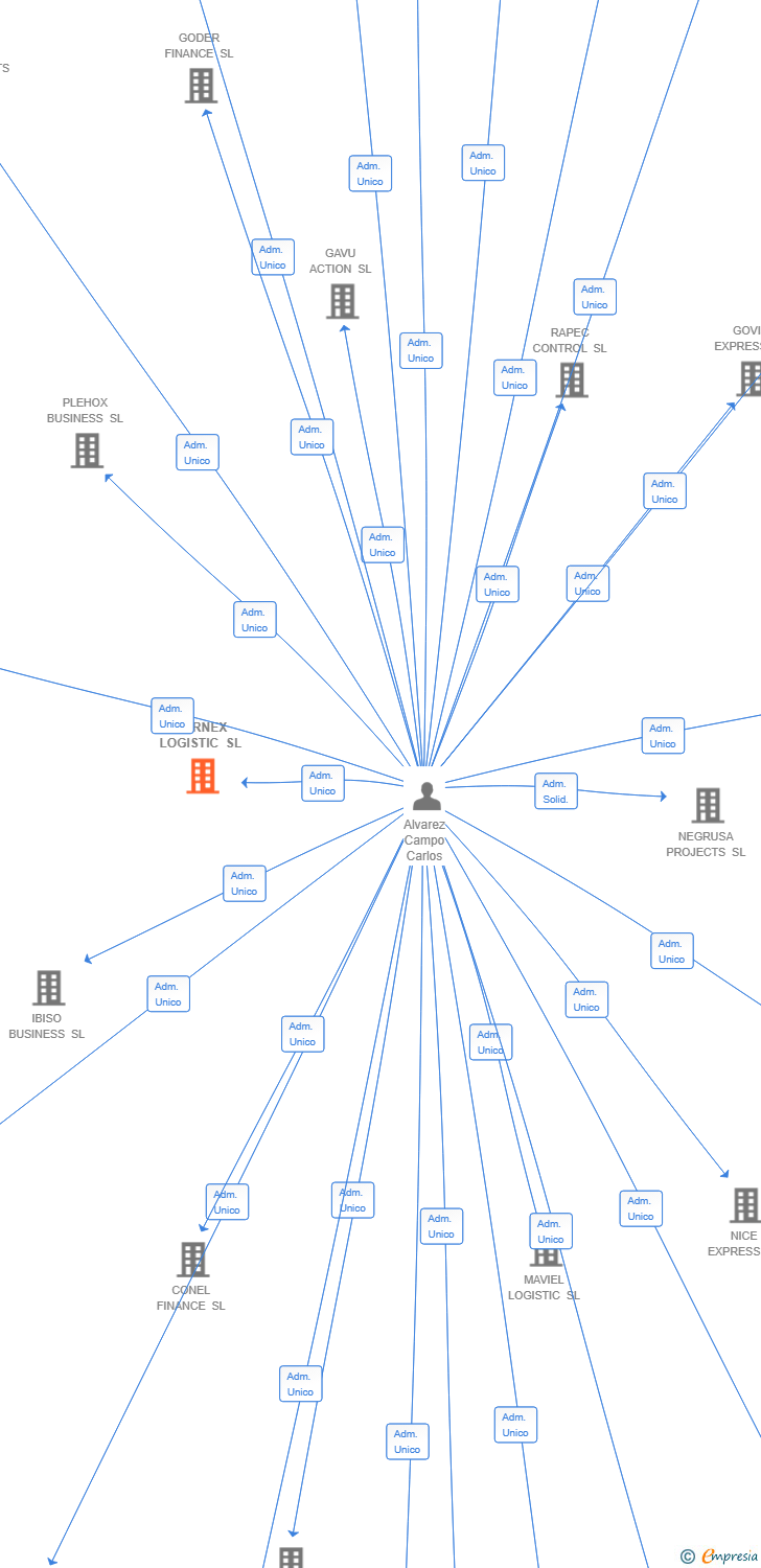 Vinculaciones societarias de DARNEX LOGISTIC SL