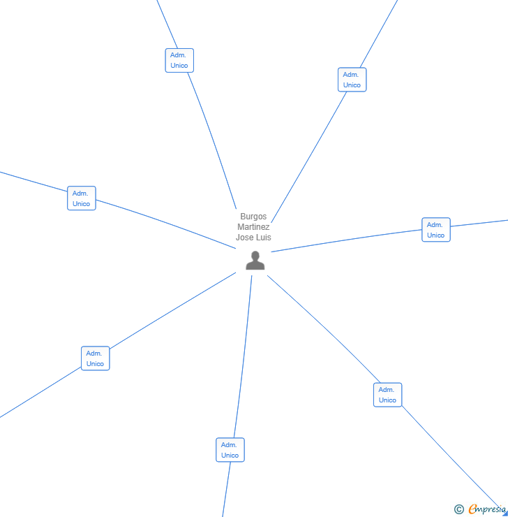 Vinculaciones societarias de AELIA SPAIN REALTORS SL