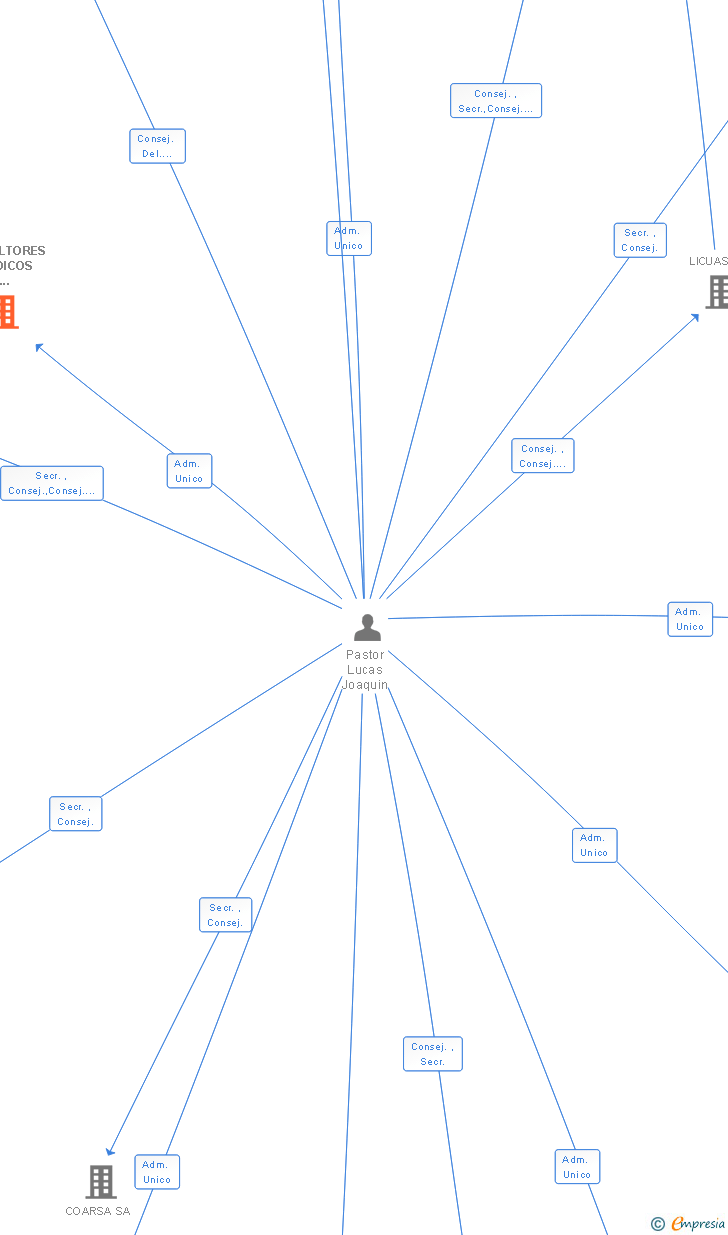 Vinculaciones societarias de CONSULTORES JURIDICOS Y ECONOMICOS SL