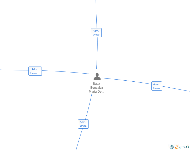 Vinculaciones societarias de NUBILION SL