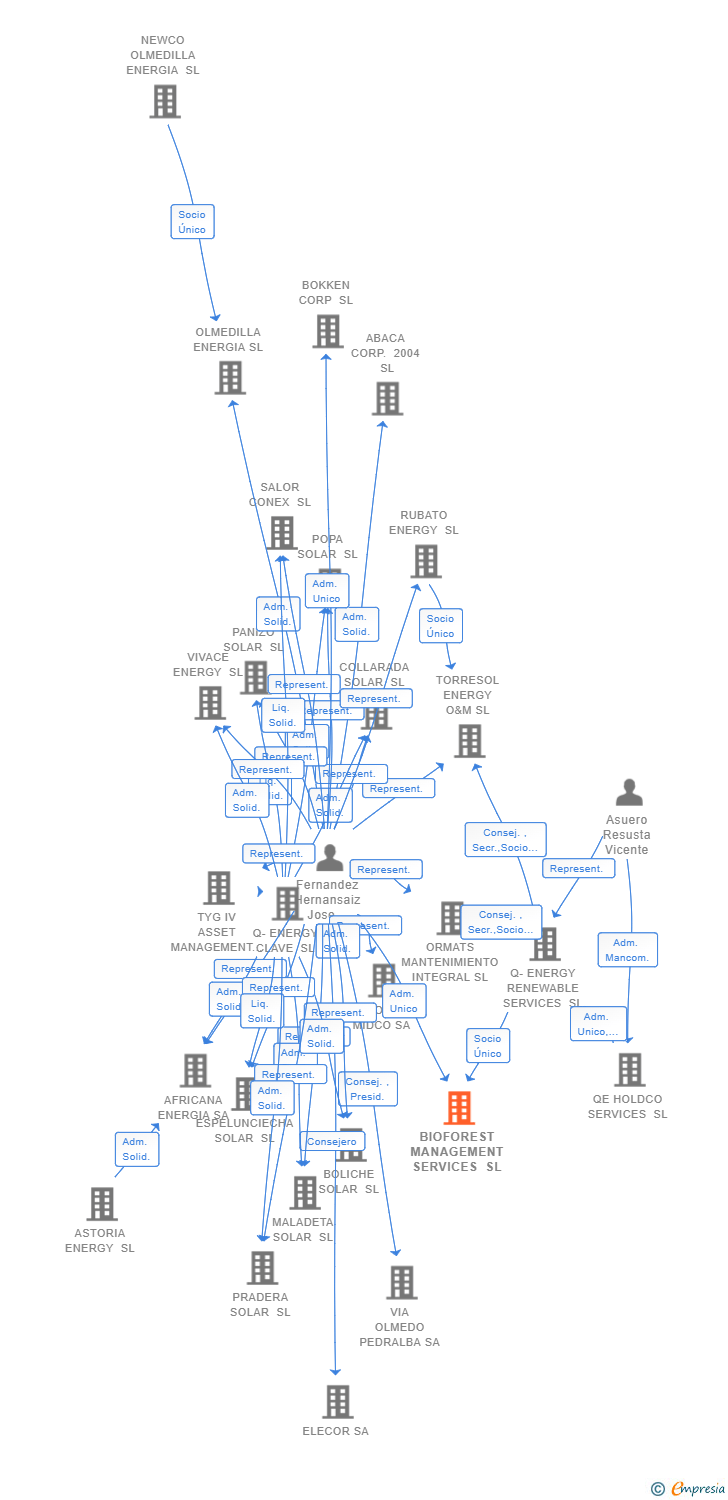Vinculaciones societarias de BIOFOREST MANAGEMENT SERVICES SL