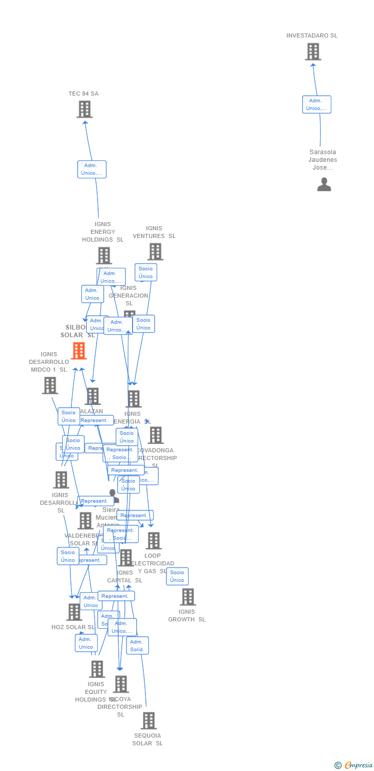 Vinculaciones societarias de IGNIS DATA TESSERA SL