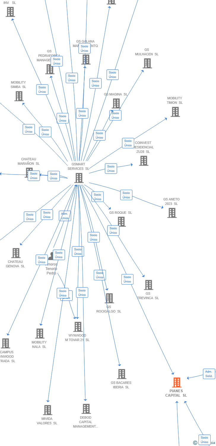 Vinculaciones societarias de PIANES CAPITAL SL